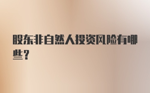 股东非自然人投资风险有哪些?