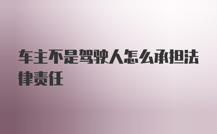 车主不是驾驶人怎么承担法律责任