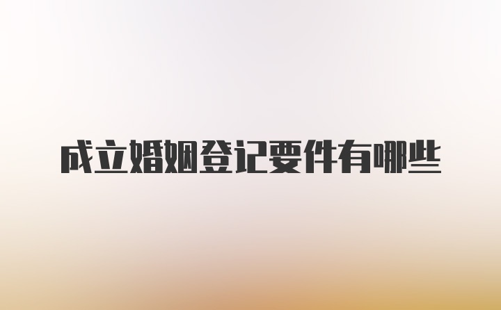 成立婚姻登记要件有哪些