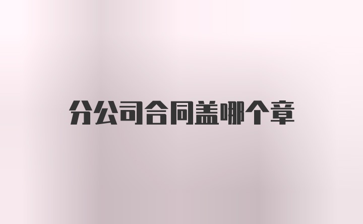 分公司合同盖哪个章