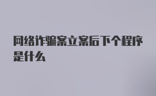 网络诈骗案立案后下个程序是什么