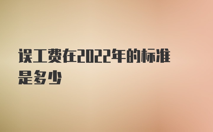 误工费在2022年的标准是多少