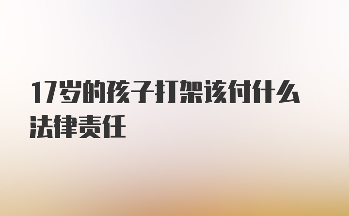 17岁的孩子打架该付什么法律责任