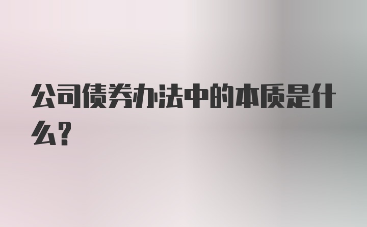 公司债券办法中的本质是什么?