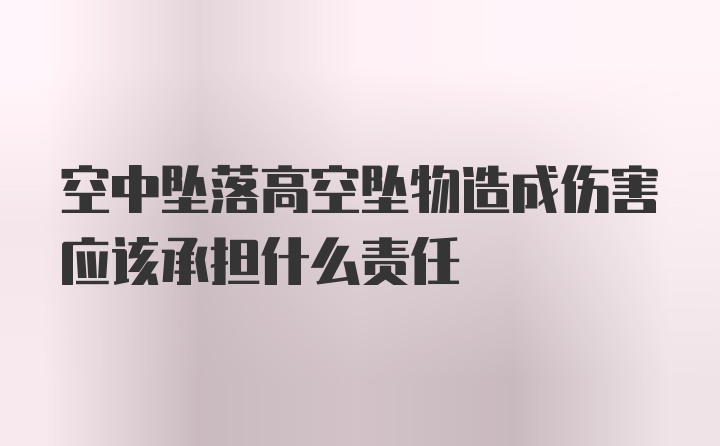 空中坠落高空坠物造成伤害应该承担什么责任