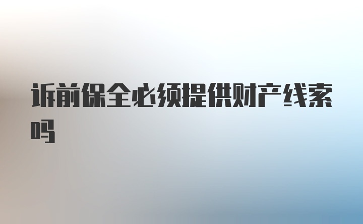 诉前保全必须提供财产线索吗