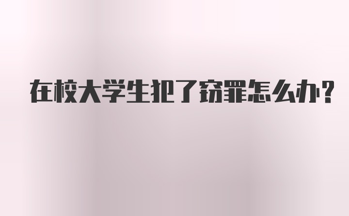 在校大学生犯了窃罪怎么办？