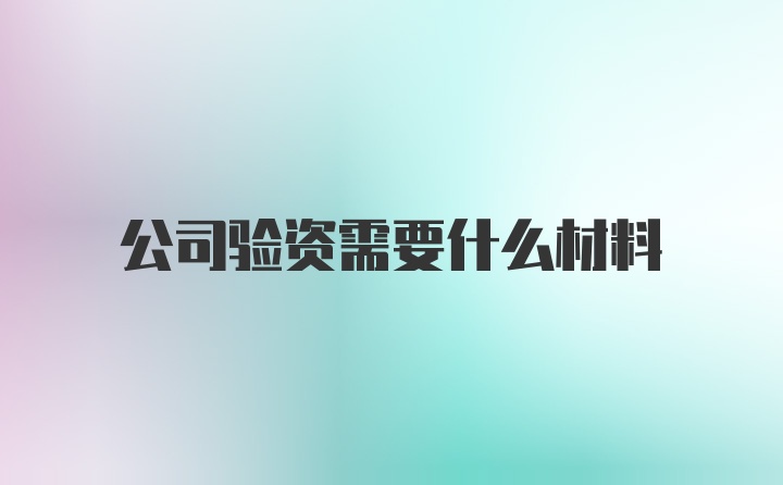 公司验资需要什么材料