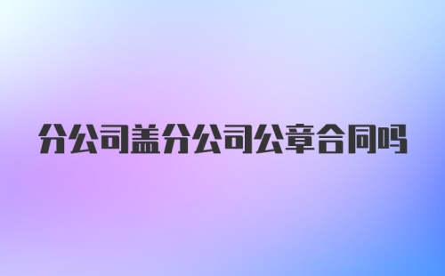 分公司盖分公司公章合同吗