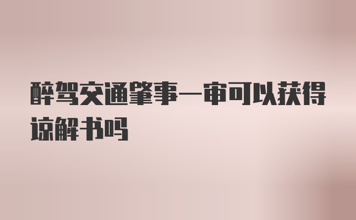 醉驾交通肇事一审可以获得谅解书吗