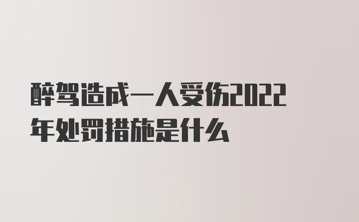 醉驾造成一人受伤2022年处罚措施是什么