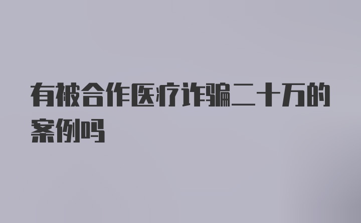 有被合作医疗诈骗二十万的案例吗