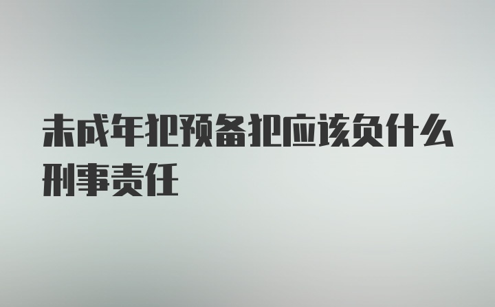 未成年犯预备犯应该负什么刑事责任