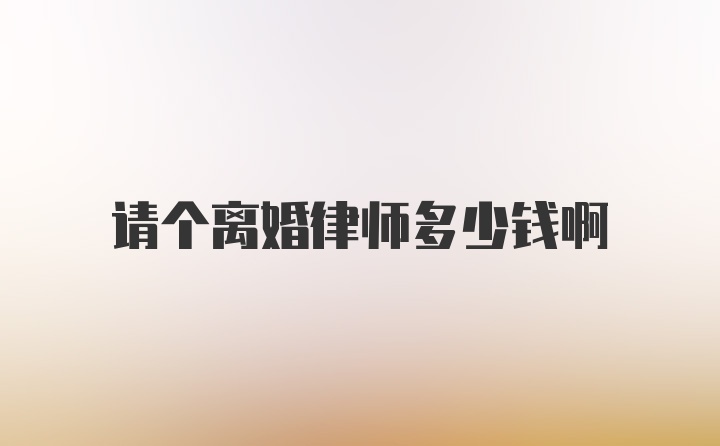 请个离婚律师多少钱啊