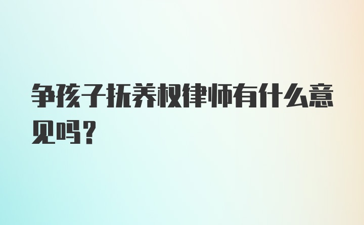 争孩子抚养权律师有什么意见吗？