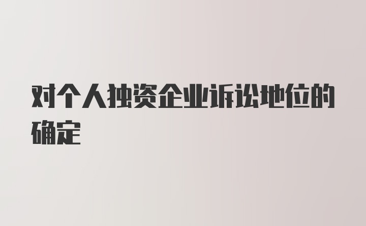 对个人独资企业诉讼地位的确定