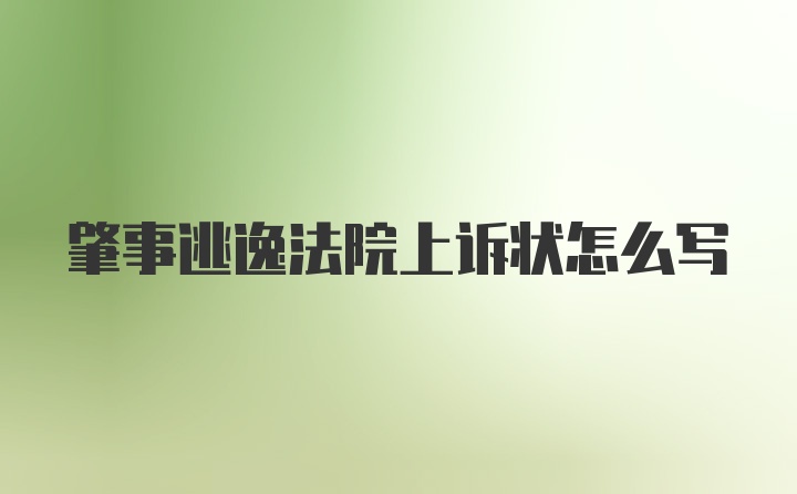 肇事逃逸法院上诉状怎么写