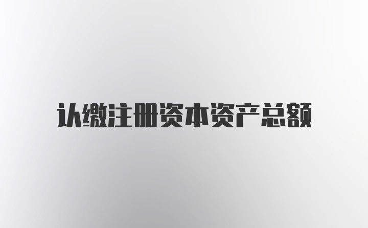 认缴注册资本资产总额