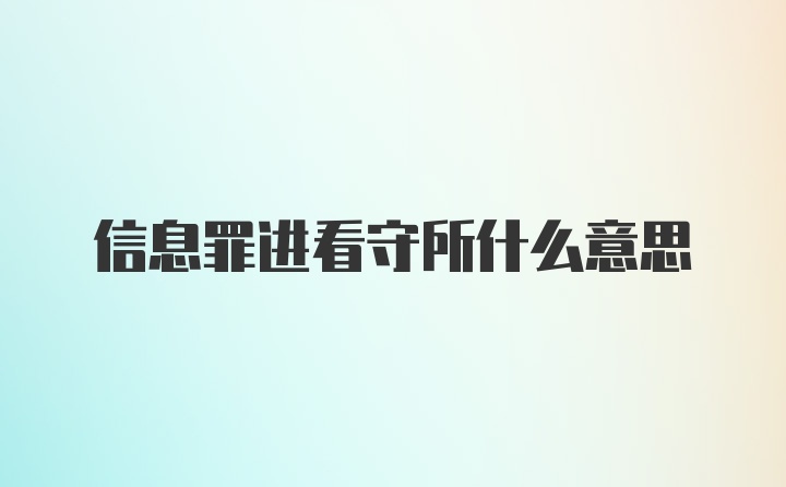 信息罪进看守所什么意思