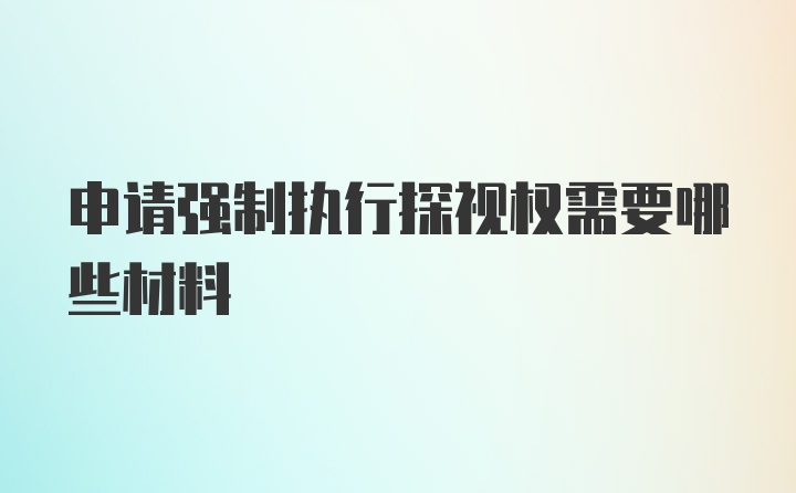 申请强制执行探视权需要哪些材料