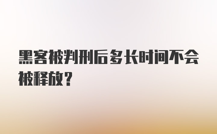 黑客被判刑后多长时间不会被释放？