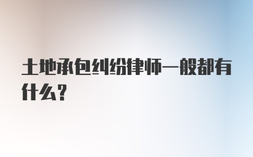 土地承包纠纷律师一般都有什么？