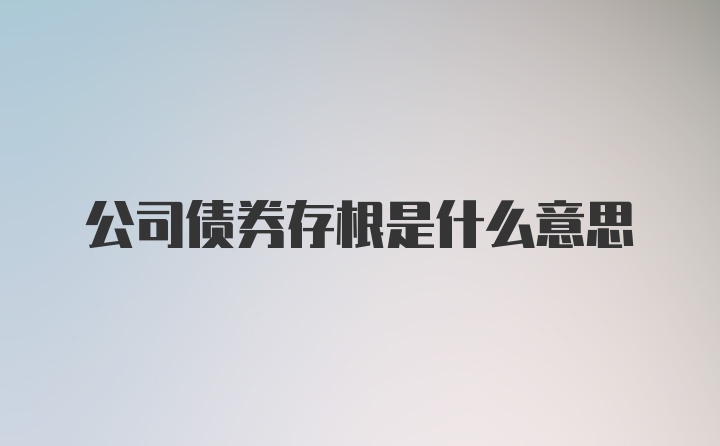 公司债券存根是什么意思