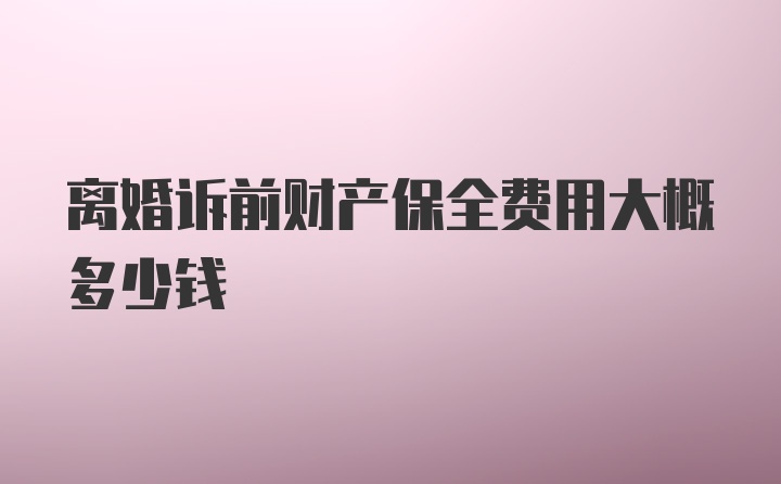 离婚诉前财产保全费用大概多少钱