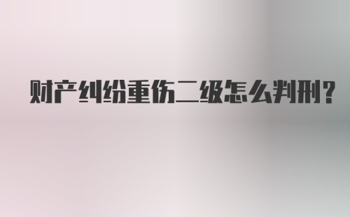 财产纠纷重伤二级怎么判刑?