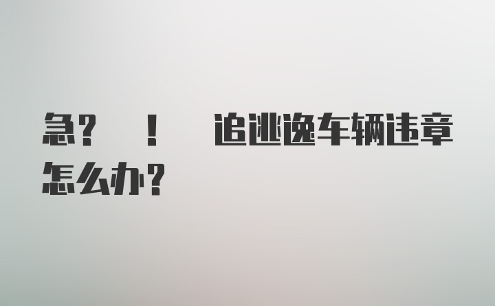 急? ! 追逃逸车辆违章怎么办？