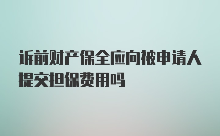 诉前财产保全应向被申请人提交担保费用吗