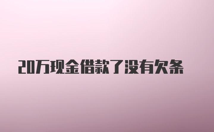 20万现金借款了没有欠条