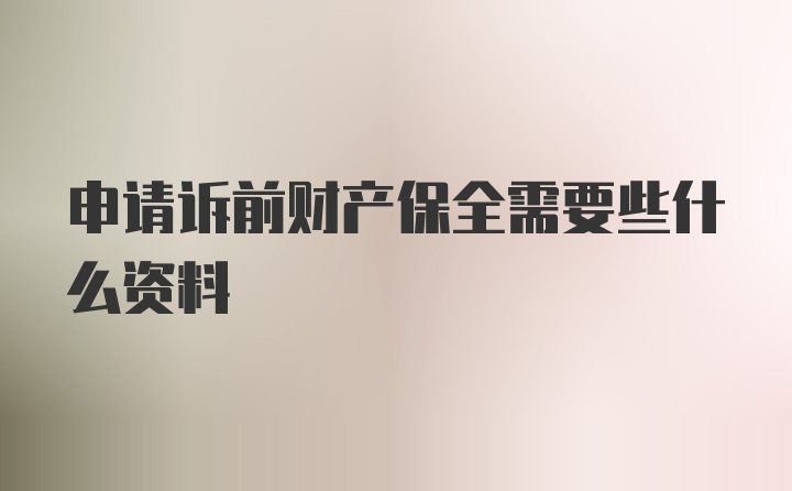 申请诉前财产保全需要些什么资料