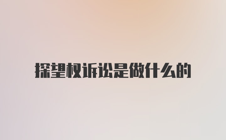 探望权诉讼是做什么的