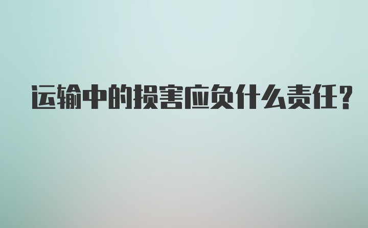 运输中的损害应负什么责任?