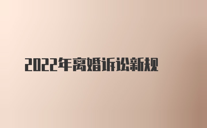 2022年离婚诉讼新规