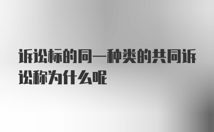 诉讼标的同一种类的共同诉讼称为什么呢