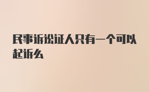 民事诉讼证人只有一个可以起诉么