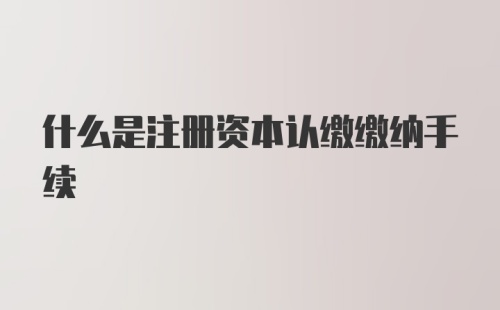 什么是注册资本认缴缴纳手续