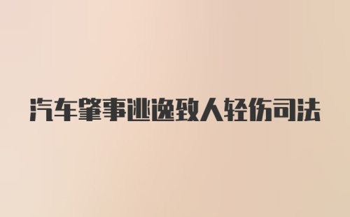 汽车肇事逃逸致人轻伤司法