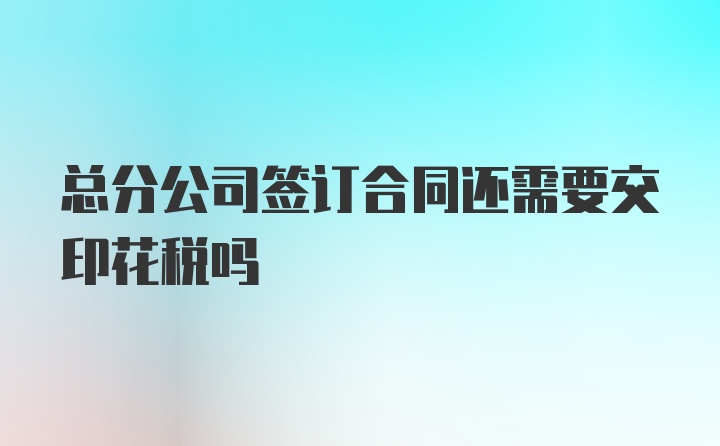 总分公司签订合同还需要交印花税吗