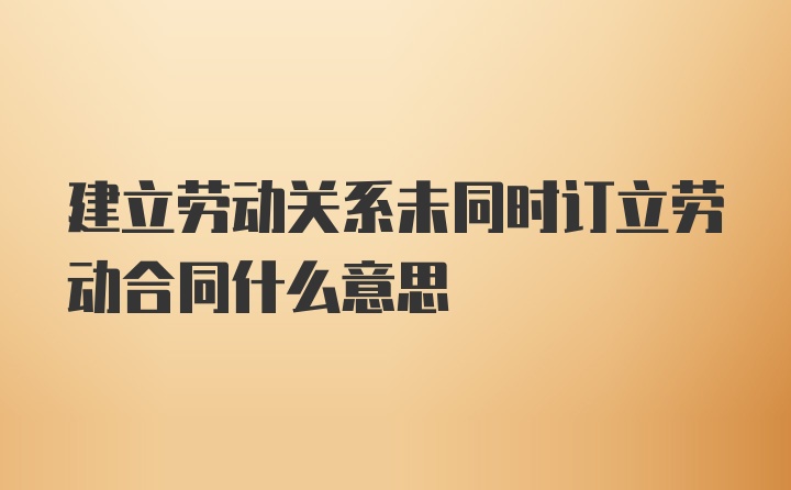 建立劳动关系未同时订立劳动合同什么意思