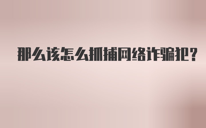 那么该怎么抓捕网络诈骗犯？