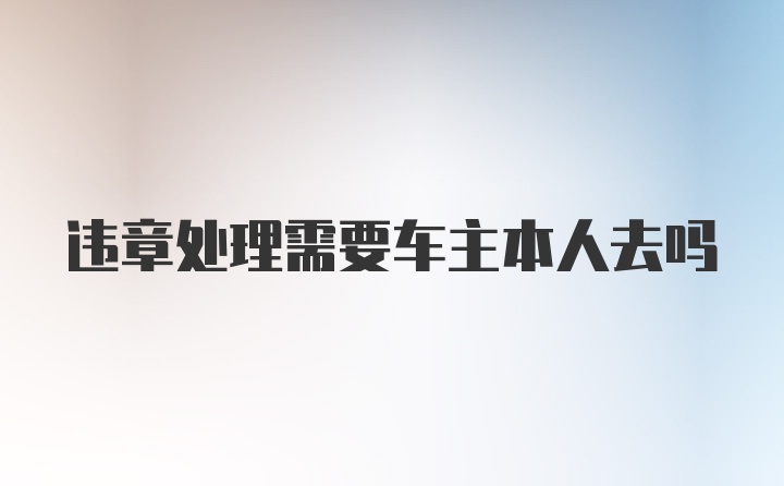 违章处理需要车主本人去吗