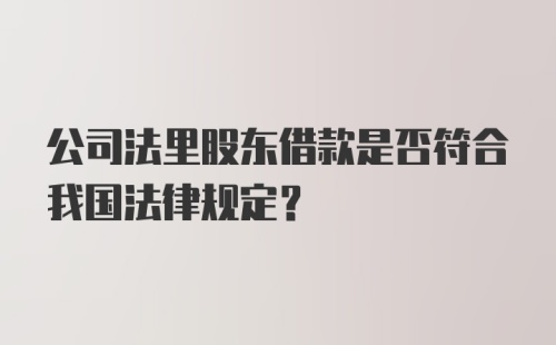 公司法里股东借款是否符合我国法律规定？