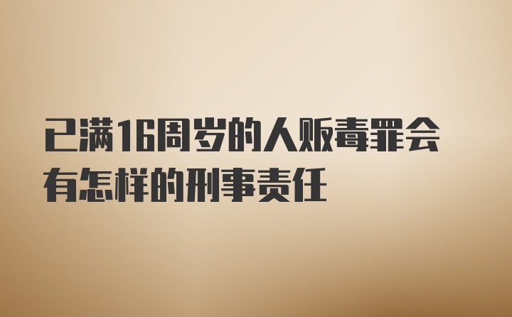 已满16周岁的人贩毒罪会有怎样的刑事责任