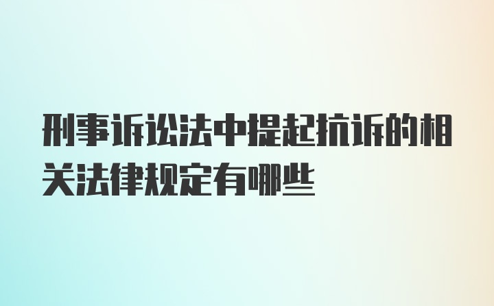 刑事诉讼法中提起抗诉的相关法律规定有哪些