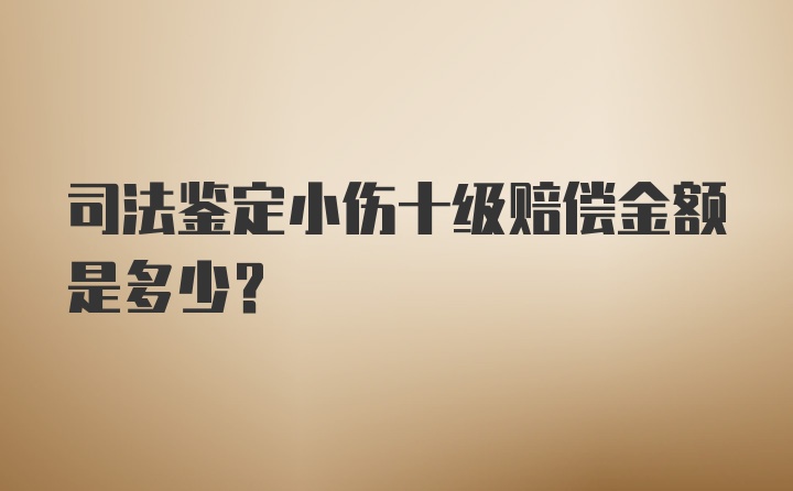 司法鉴定小伤十级赔偿金额是多少？