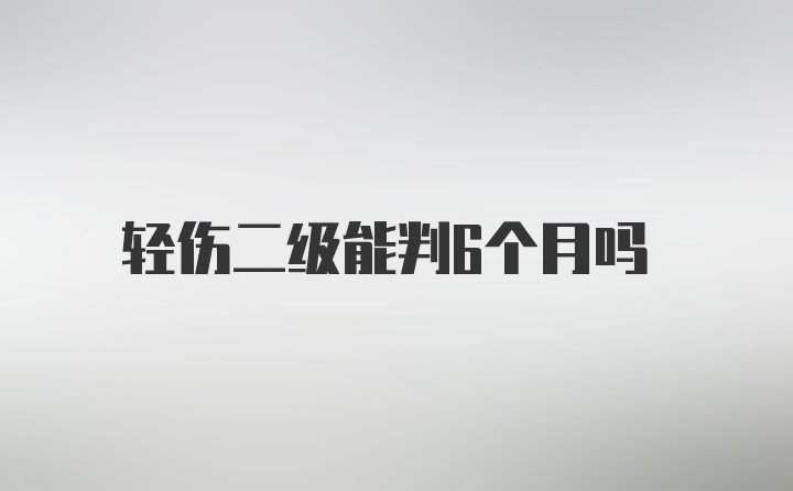 轻伤二级能判6个月吗