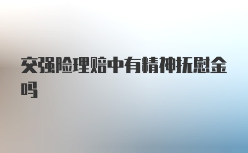 交强险理赔中有精神抚慰金吗